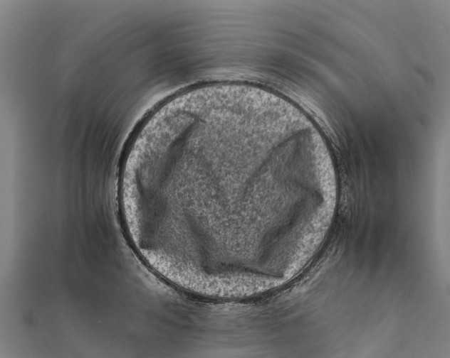 X0000111600992200908131359