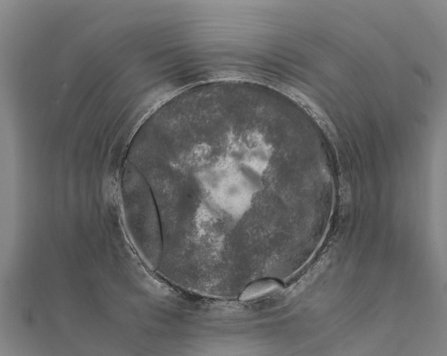 X0000111600993200908131359