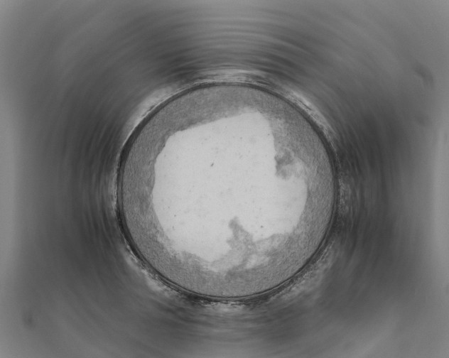 X0000111600994200908131359