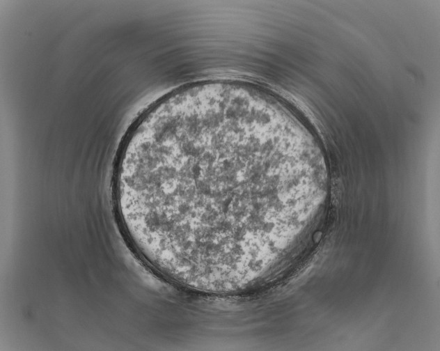X0000111600995200908131359
