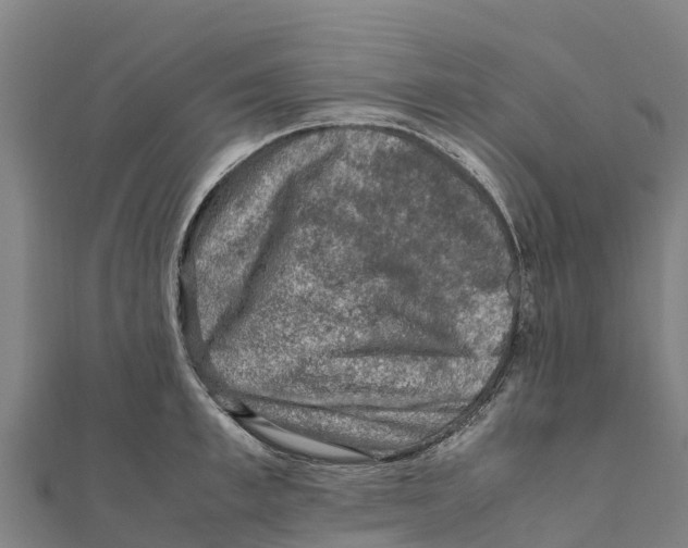 X0000111600997200908131359