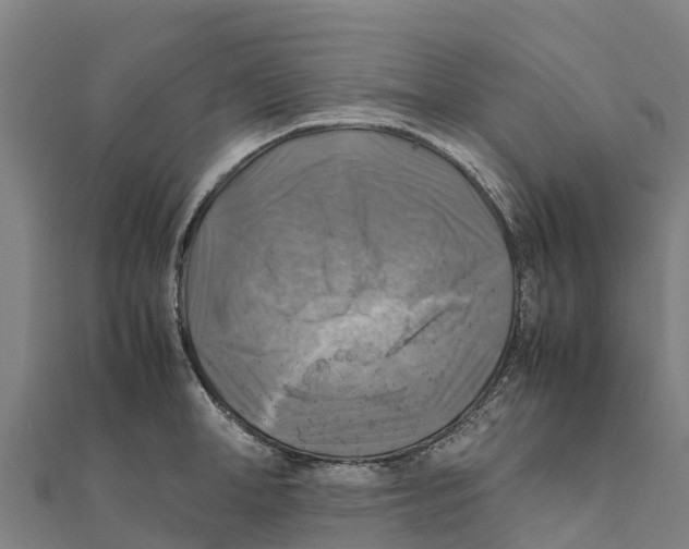 X0000111600998200908131359