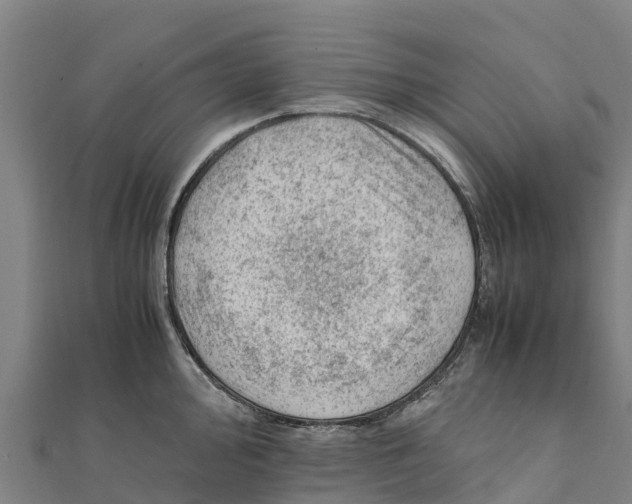 X0000111601000200908131359