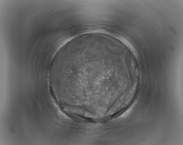 X0000111601001200908131359