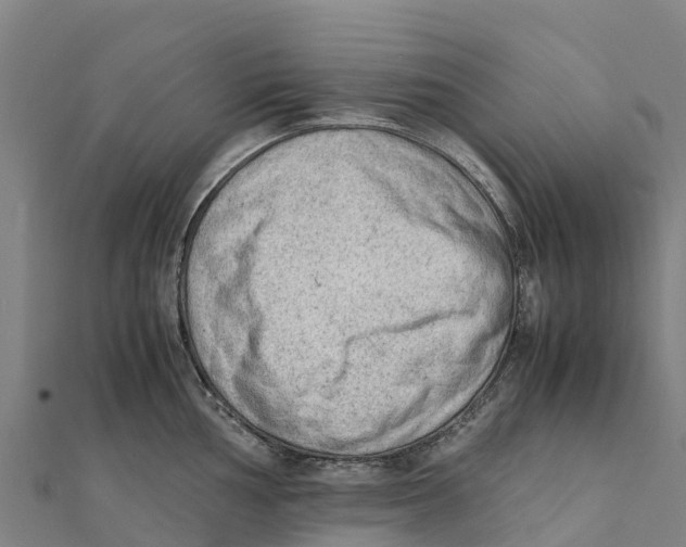 X0000111601002200908131359