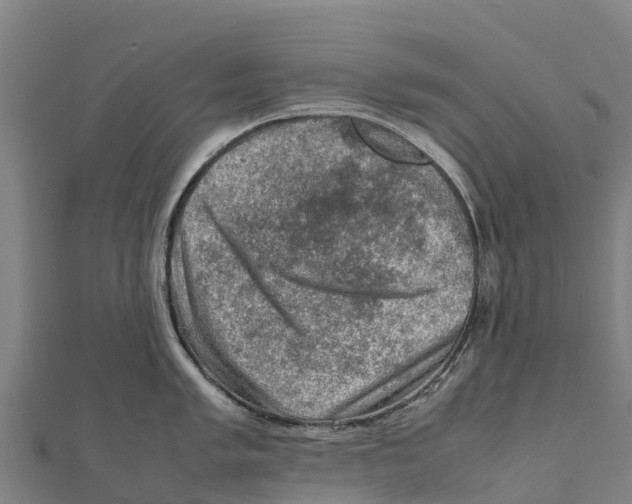 X0000111601005200908131359