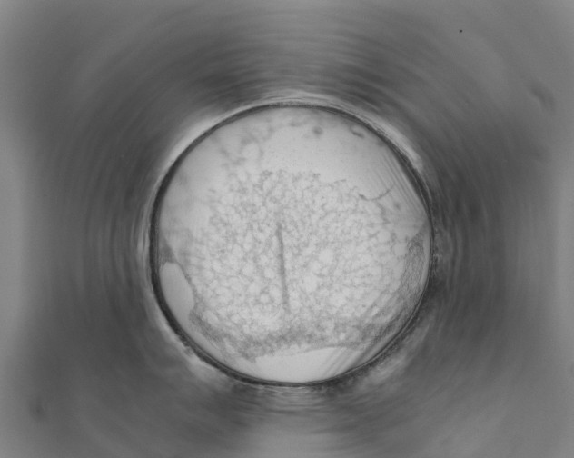X0000111601007200908131359