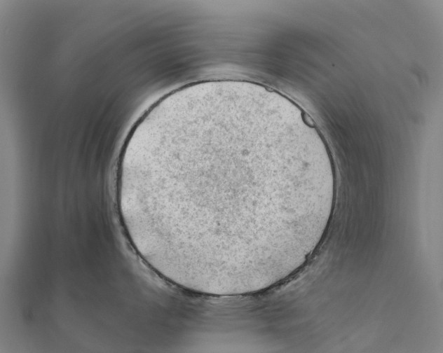X0000111601008200908131359