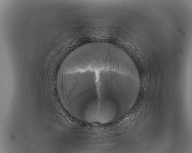 X0000111601009200908131358
