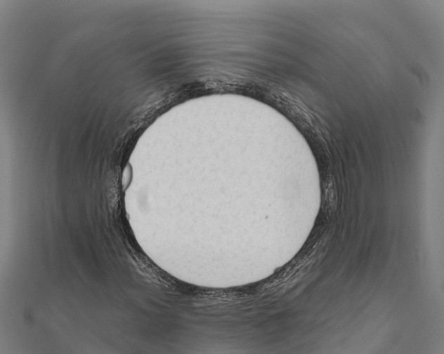 X0000111601012200908131358
