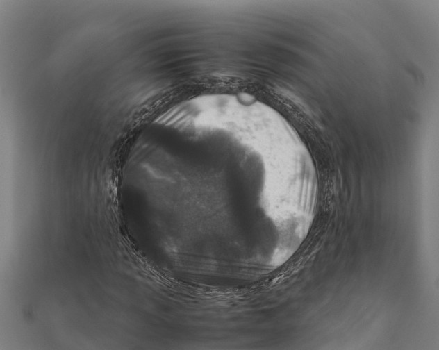 X0000111601013200908131358