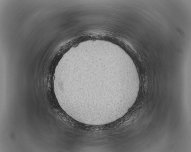 X0000111601016200908131358