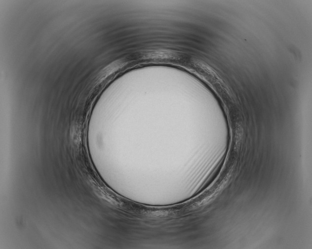 X0000111601017200908131358