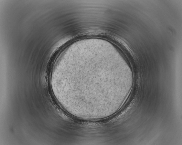 X0000111601018200908131358