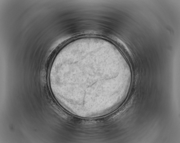 X0000111601019200908131358