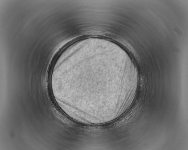 X0000111601020200908131358