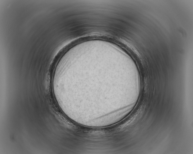 X0000111601021200908131358
