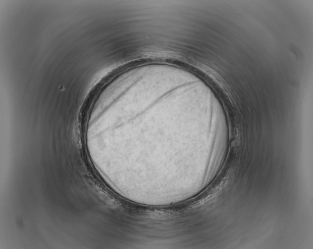 X0000111601022200908131358