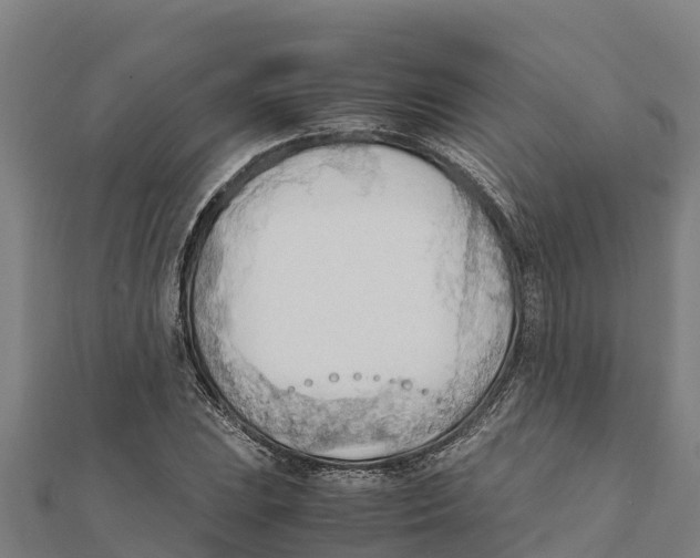 X0000111601023200908131358