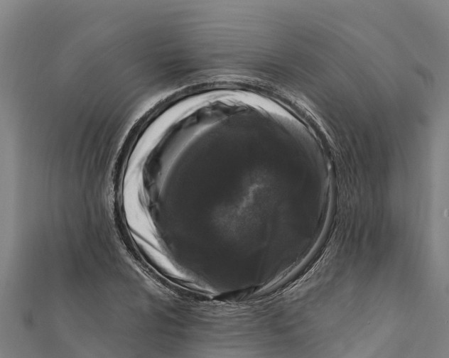 X0000111601024200908131358