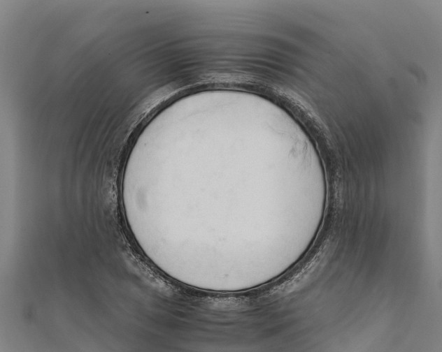 X0000111601025200908131358