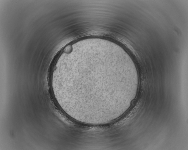 X0000111601026200908131358
