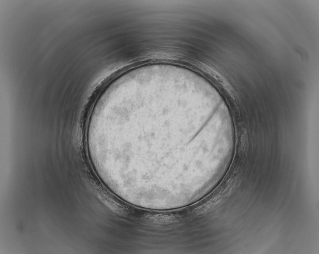 X0000111601027200908131358