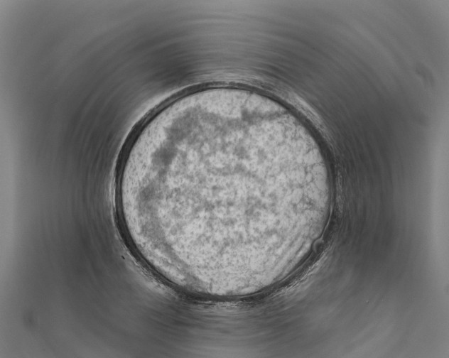 X0000111601028200908131358