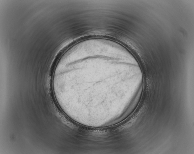 X0000111601029200908131358