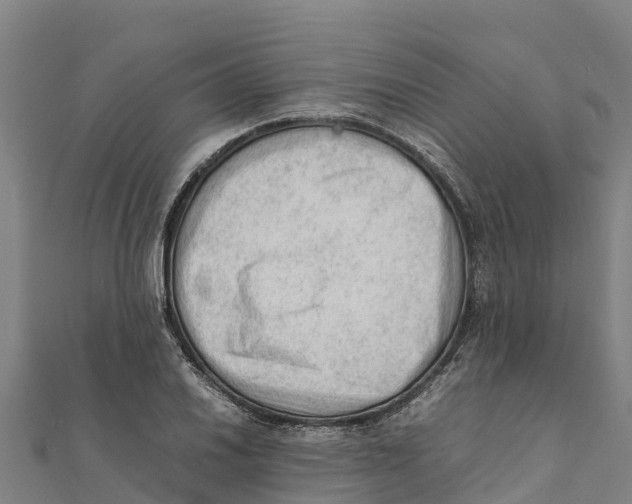 X0000111601030200908131358