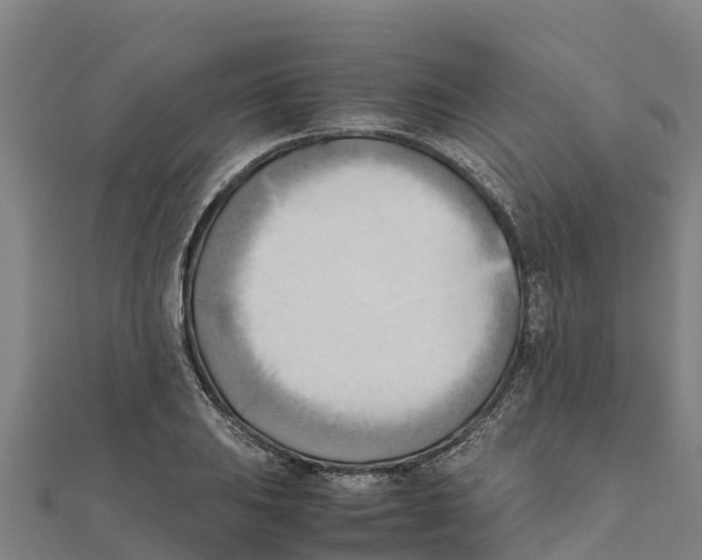 X0000111601031200908131358