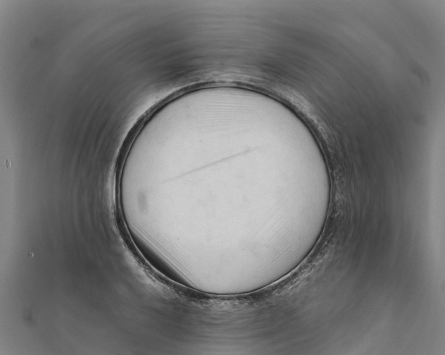 X0000111601032200908131358