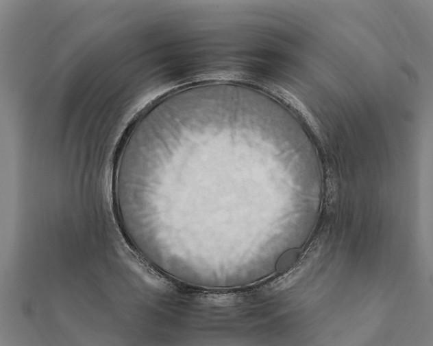 X0000111601035200908131358