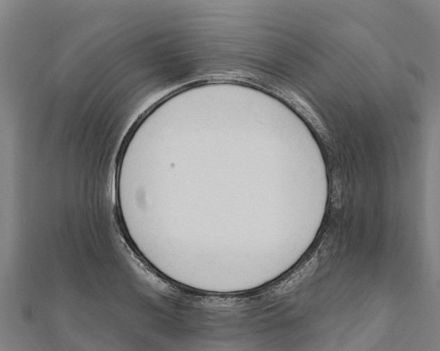 X0000111601036200908131358