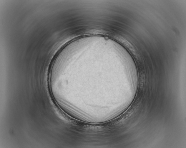 X0000111601039200908131358