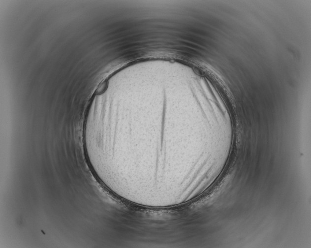 X0000111601041200908131358