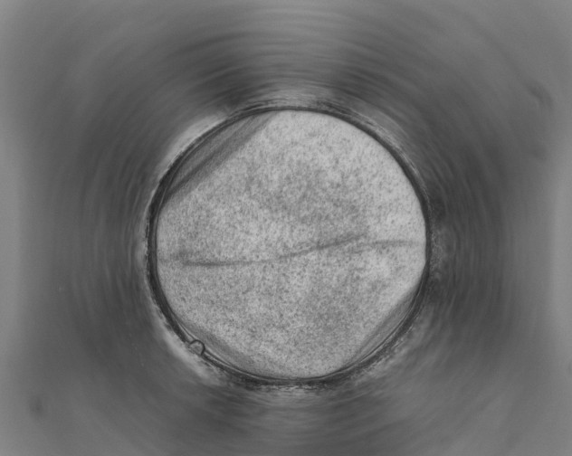 X0000111601042200908131358