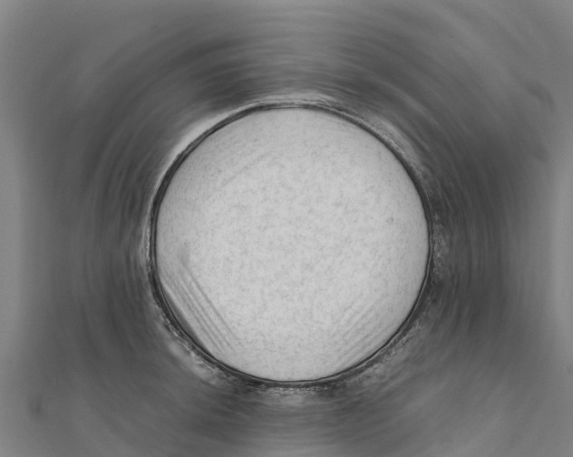X0000111601044200908131358