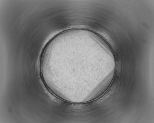 X0000111601046200908131358