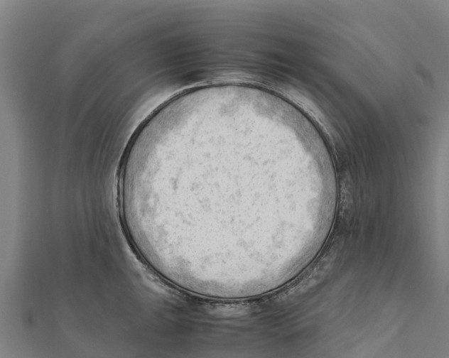 X0000111601047200908131358