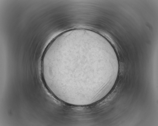 X0000111601048200908131358