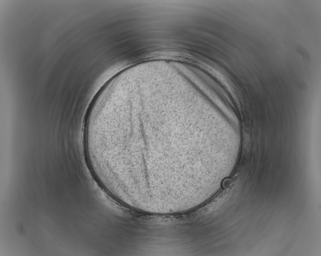 X0000111601050200908131358