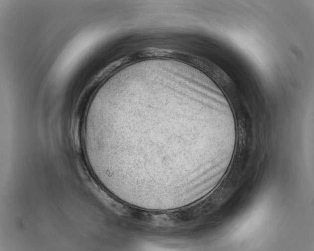 X0000111601054200908131358