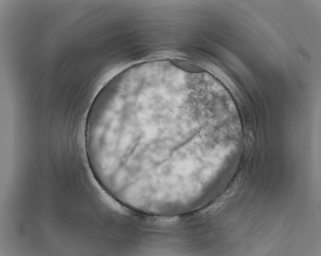X0000111601055200908131358