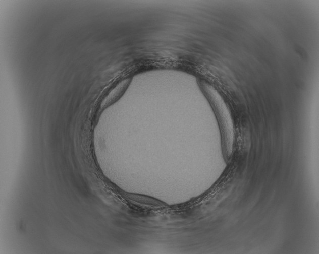 X0000111601057200908131358