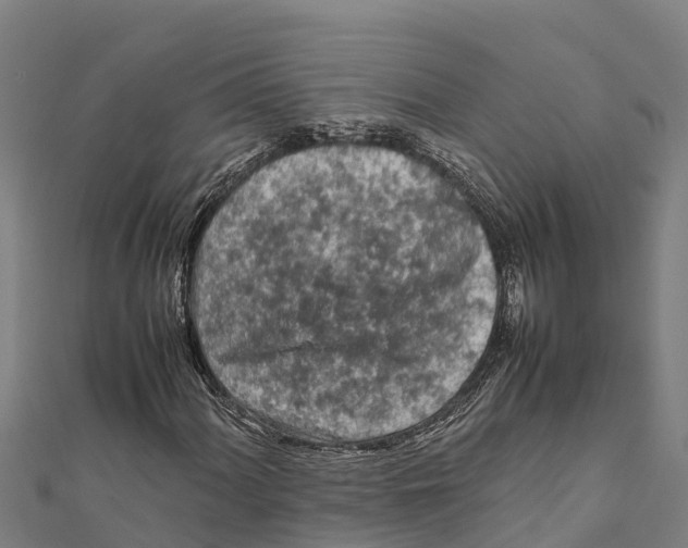X0000111601060200908131358