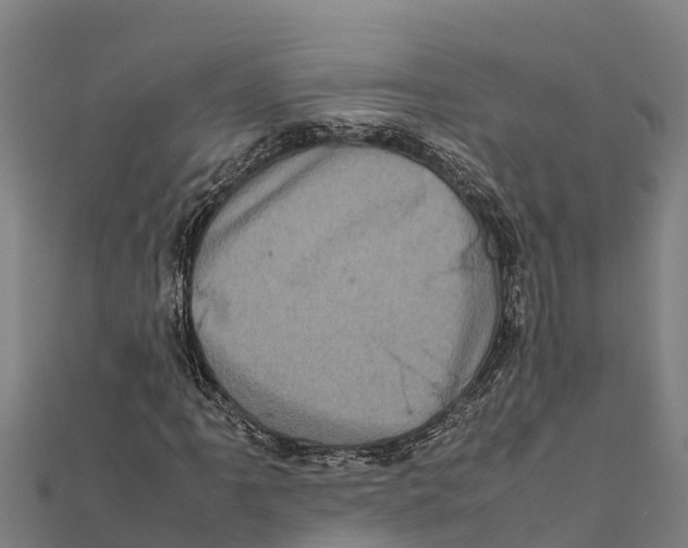 X0000111601061200908131358