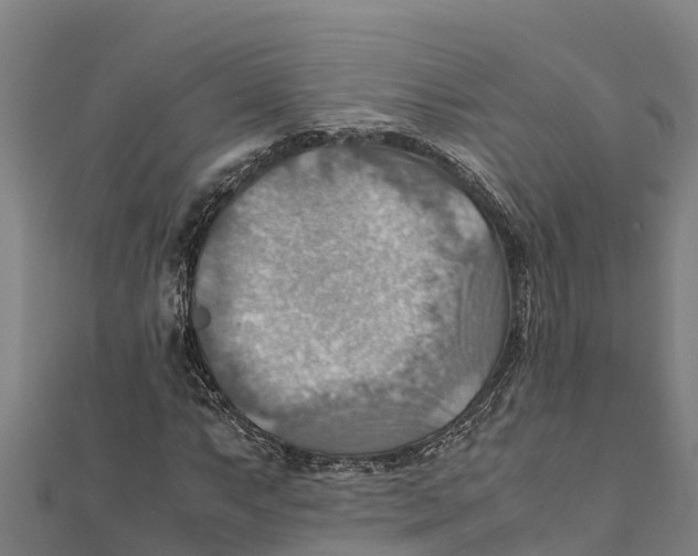 X0000111601063200908131358
