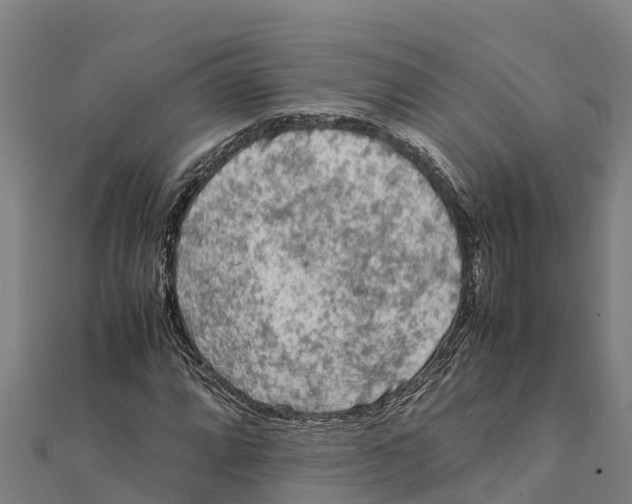 X0000111601064200908131358