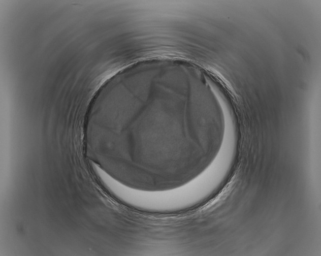 X0000111601065200908131358